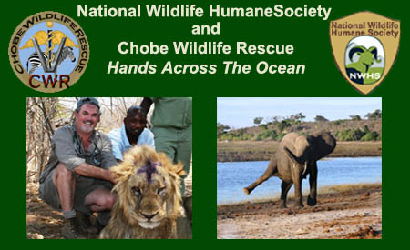 NWHS and CWR Alliance