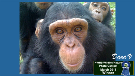 NWHS Photo Contest Winner