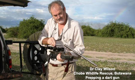 Dr Clay Wilson Botswana Africa