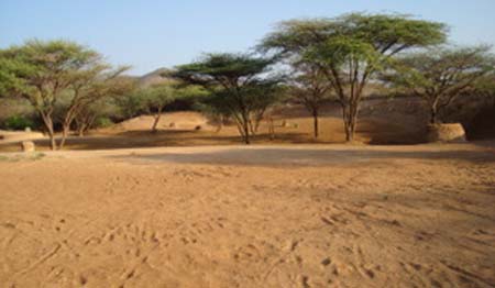 Drought in the Milgis Kenya