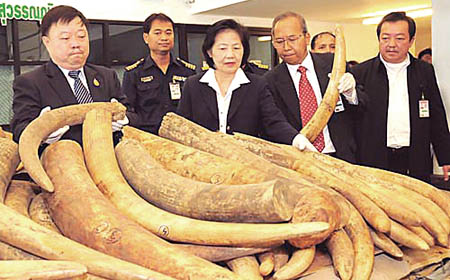 Thailand Seizes Ivory