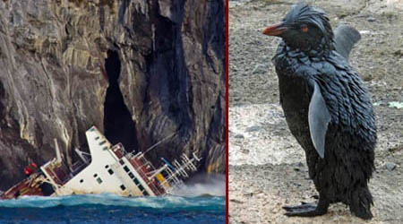 Oil Spill Kills Penguins