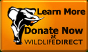 Donate Through WildlifeDirect